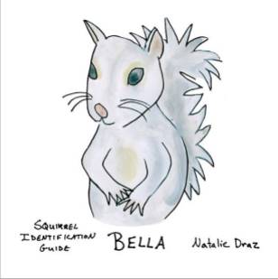 BellaSquirrel
